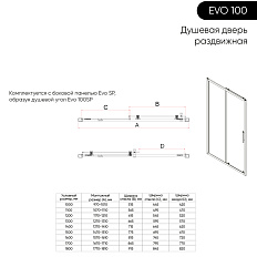Душевая дверь Evo 100 B - фото 1