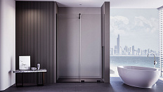 Душевая дверь Premium Trento PTDW-50B - фото 1